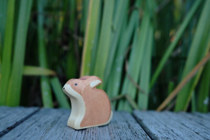 Hase sitzend