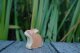 Hase sitzend