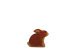 Hase sitzend