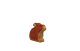Hase sitzend