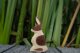 Rabbit ears up