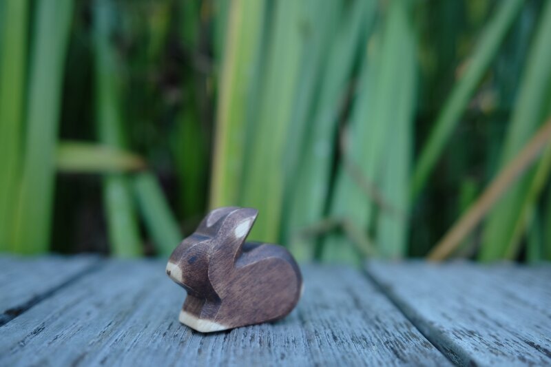 Hase klein