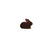 Hase klein