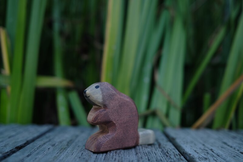 Beaver