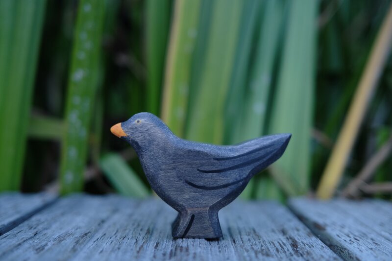Amsel