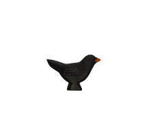 Amsel