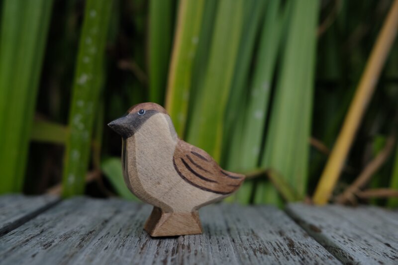 Spatz