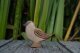 Spatz
