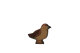 Spatz