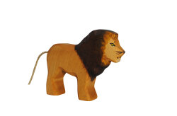 Lion male