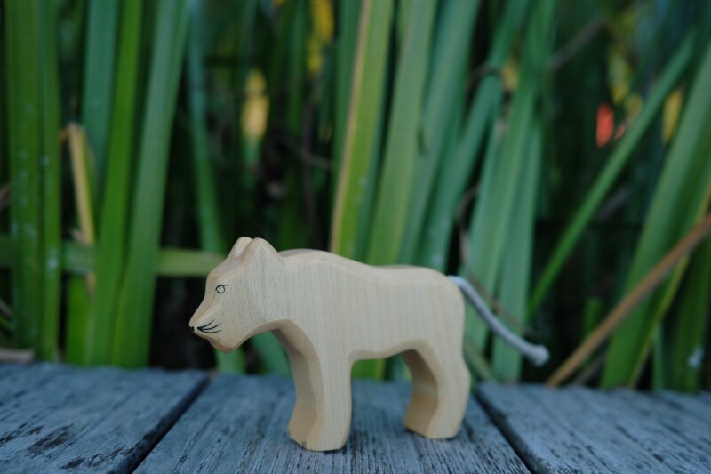 Lion Female