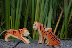 Tiger sitting