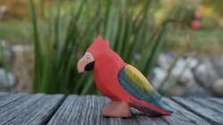 Parrot