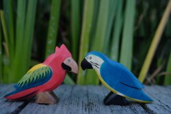 Parrot