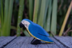 Parrot Blue