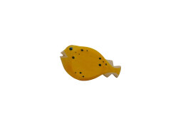 Pufferfish