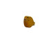 Pufferfish