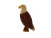 Sea Eagle