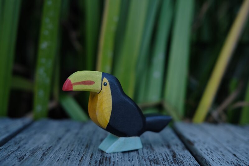 Toucan