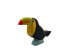 Toucan