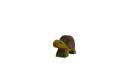 Schildkröte klein