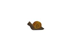 Schnecke klein