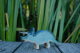 Triceratops