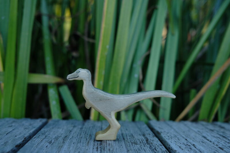 Velociraptor