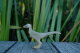 Velociraptor