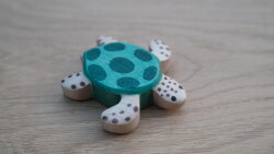 Meeresschildkröte schwimmend