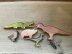 The Surprise Animal Set
