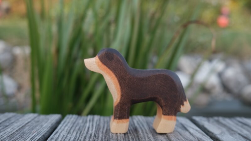 Berner Sennenhund