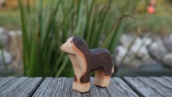 Berner Sennenhund