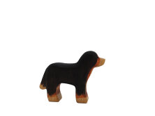 Berner Sennenhund