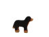 Berner Sennenhund