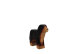 Berner Sennenhund