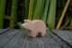 Piglet