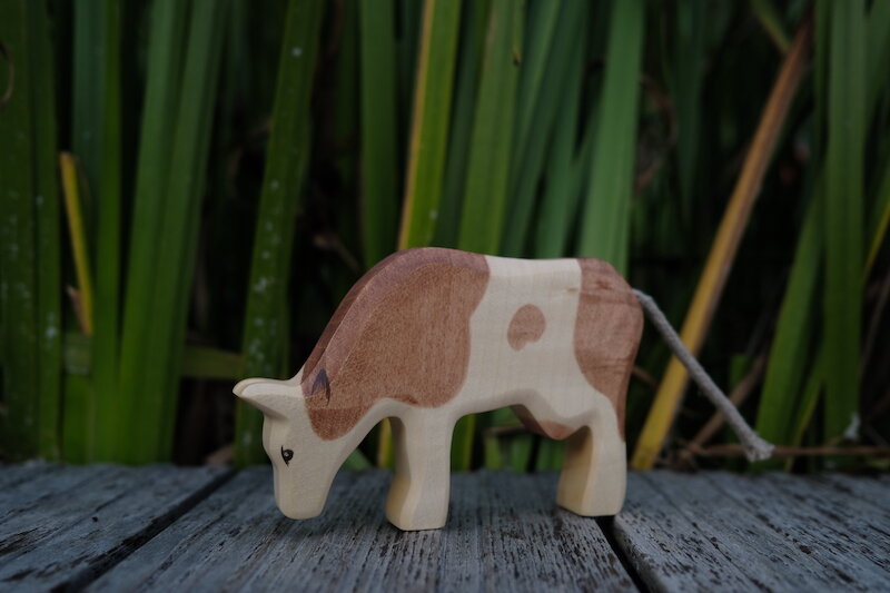 Cow eating