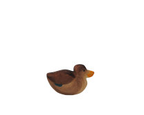 Duck sitting