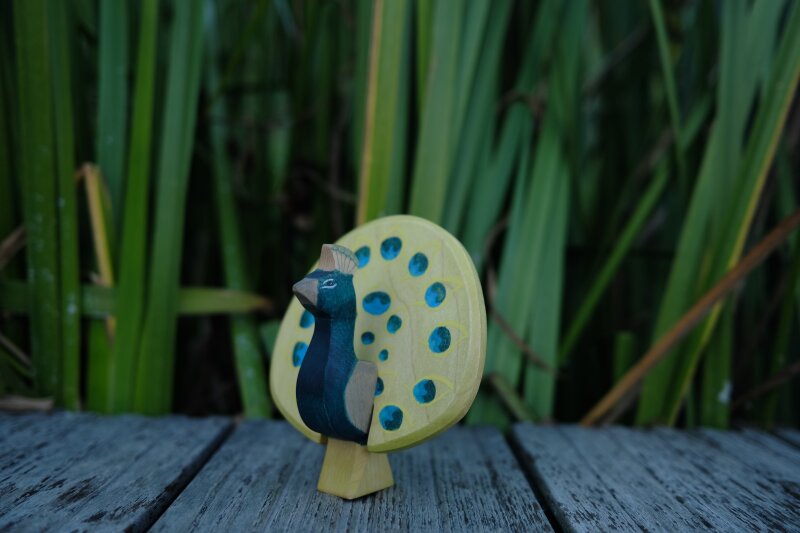 Peacock open