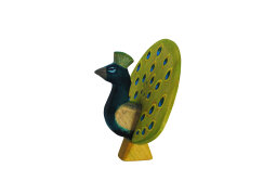 Peacock open