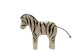 Zebra smal