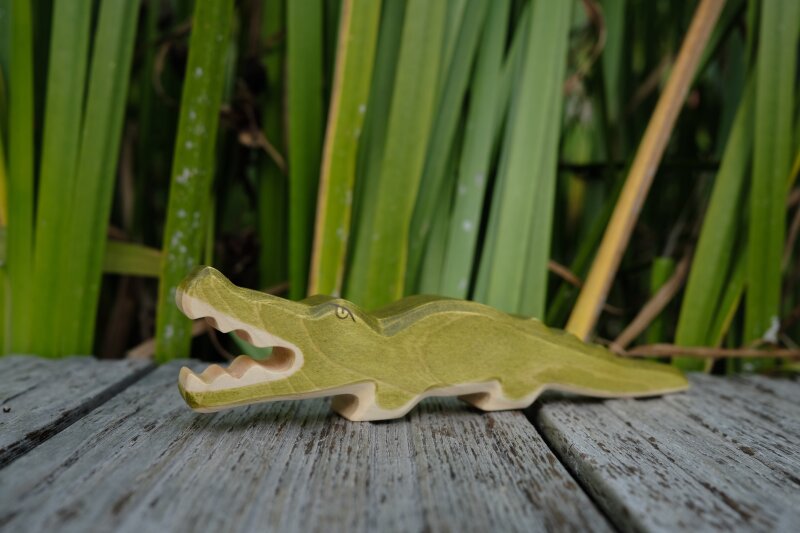 Crocodile