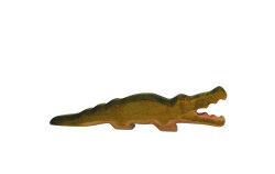 Crocodile