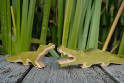 Crocodile small