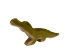 Crocodile small