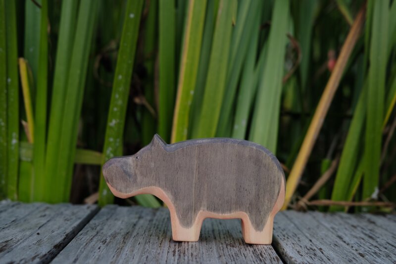 Hippopotamus